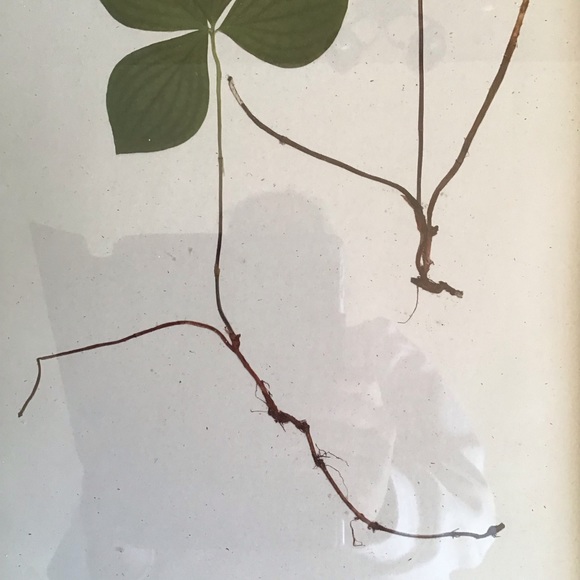 FINAL SALE Botanical Leaf Art Wall Decor - Picture 3 of 6